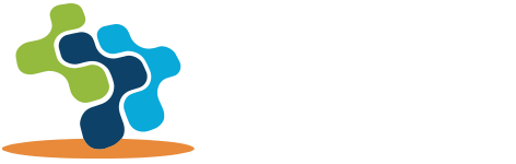 Bizcom Networks
